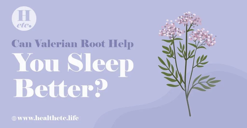 Can Valerian Root Help You Sleep Better